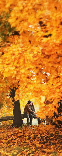 Аватар вконтакте Мужчина и девушка целуются, сидя в осеннем лесу, фотограф Sanya Khomenko