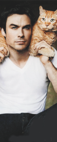 Аватар вконтакте Американский актер Иэн Джозеф Сомерхолдер / Ian Joseph Somerhalder с кошкой на шее