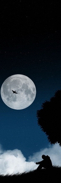 99px.ru аватар Одинокий, грустный мужчина, опустив вниз голову, сидящий на пригорке возле дерева на фоне диска ярко светящей луны и парящей на ее фоне птицы