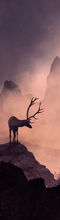 Аватар вконтакте Олень стоит на горе, фотограф Caras Ionut