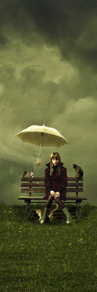 99px.ru аватар Длинноволосая девочка, сидящая на деревянной лавочке среди зеленой травы под идущим дождем, рядом с ней парит в воздухе белый зонтик, на спинке лавочки сидят пара голубей и серая кошка, внизу, возле ног девочки стоит рыжая кошка с белой грудкой