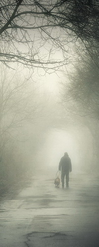 99px.ru аватар Мужчина, прогуливающийся утром по аллее парка в густой, туманной мгле