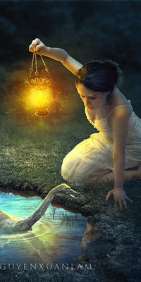 Аватар вконтакте Девушка, держащая в руке зажженный фонарь, смотрит на лебедя, плавающего в небольшом водоеме, art GUYENXUANIAM