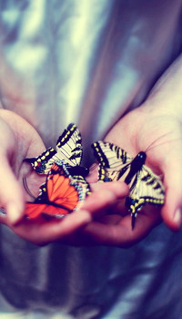 Аватар вконтакте Девушки с бабочками в руках