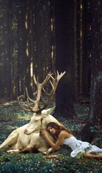 99px.ru аватар Девушка лежит в лесу рядом с раненным оленем, фотограф Катарина Юнг / Katharina Jung