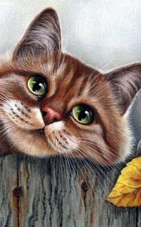 Аватар вконтакте Котик на заборе, by garmashova irina