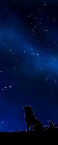 99px.ru аватар Волк любуется звездным небом