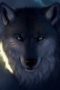 Аватар вконтакте Портрет серого волка