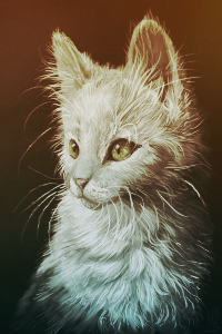Аватар вконтакте Белый котенок, by Lissa-Suzuran