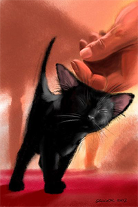 Аватары ВКонтакте Женская рука гладит черного котенка, зажмурившего глаза от удовольствия