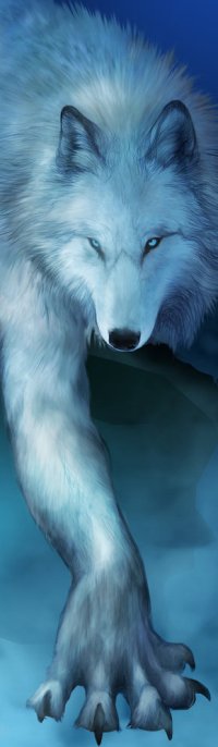 Аватар вконтакте Волк выставил лапу вперед, by Novawuff