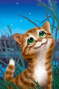 Аватар вконтакте Рыжий котенок на фоне ночного неба, художница Ирина Зенюк