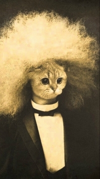 99px.ru аватар Прикольный кот в костюме и парике