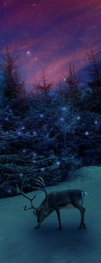 Аватар вконтакте Олень на фоне зимнего леса