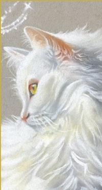 Аватар вконтакте Белый пушистый котенок, by Katerina-Art