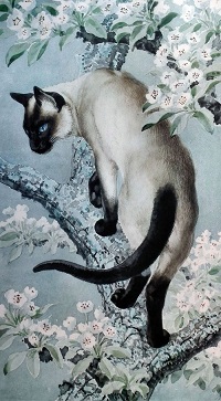 Аватар вконтакте Сиамская кошка стоит на ветке цветущей сакуры, by C. F. Tunnicliffe
