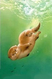 99px.ru аватар Выдренок ныряет за рыбой, by Makoto Muramatsu