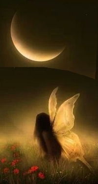99px.ru аватар Девушка с крылышками бабочки смотрит на луну