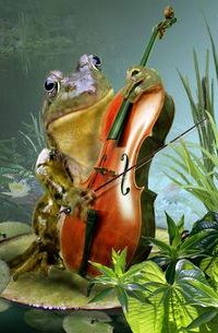 99px.ru аватар Лягушка со скрипкой и смычком на фоне воды и кувшинок
