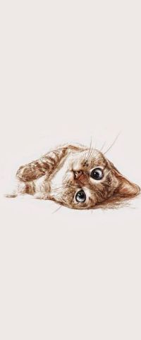 Аватар вконтакте Котенок смотрит на нас вверх ногами