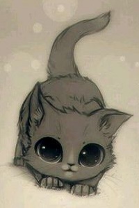 Аватар вконтакте Котенок с огромными глазами