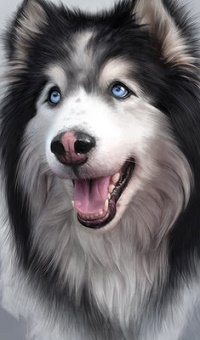 99px.ru аватар Пес с голубыми глазами