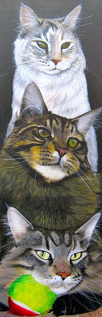 Аватар вконтакте Три разномастные кошки лежат одна на одной, by Artist Susan Herbert