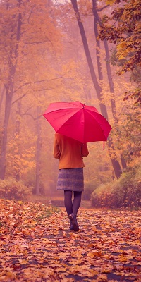 Аватар вконтакте Девушка под красным зонтом уходит вдаль по дороге усыпанной опавшими листьями в осеннем парке