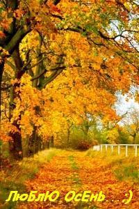99px.ru аватар Дорожка в осеннем лесу, вся устланная упавшими желтыми листьями (Люблю осень.)