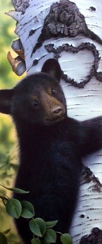 99px.ru аватар Бурый медвежонок сидит на стволе белой березы, с вырезанным на коре сердечком, пробитом стрелой