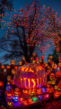 Аватар вконтакте Огромная тыква на helloween и маленькие тыковки вокруг нее