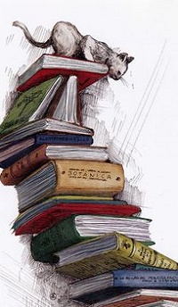 Аватар вконтакте Кошка сидит на стопке книг