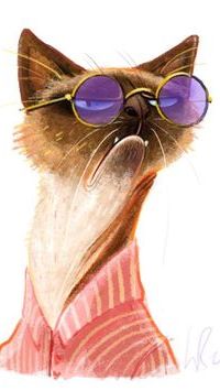 99px.ru аватар Гламурный кот в солнцезащитных очках