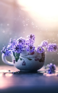 99px.ru аватар Чашка с голубыми цветами, фотограф Ashraful Arefin