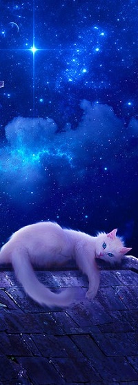 Аватар вконтакте Белая кошка лежит на крыше на фоне ночного неба, фрагмент работы от by alanleal22