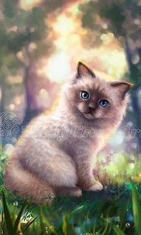 Аватар вконтакте Котенок сидит в траве