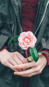 99px.ru аватар Девушка держит в руках розовый цветок