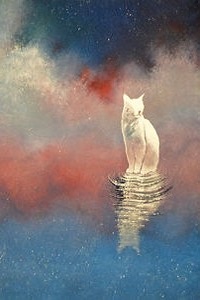 Аватар вконтакте Белый кот и его отражение а воде, by Raphaеl Vavasseur