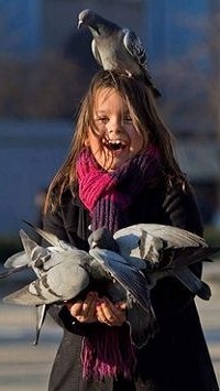 99px.ru аватар Девочка с голубем на голове и в руках