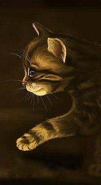 Аватар вконтакте Котенок в профиль