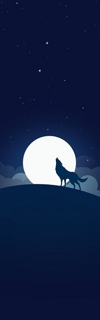 Аватар вконтакте Волк на фоне полной луны