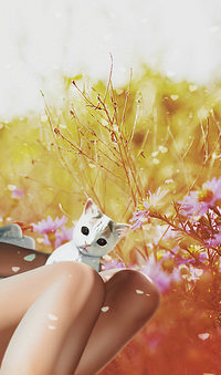 99px.ru аватар Белый котенок сидит на ножках девушки