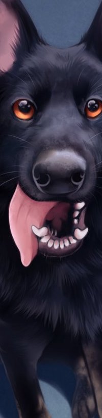 Аватар вконтакте Черный пес с открытой пастью с высунутым языком, by awkwaard