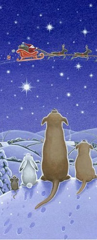 99px.ru аватар Животные сидят на пригорке и смотрят на небо с Дедом Морозом в санях, by Eva Melhuish