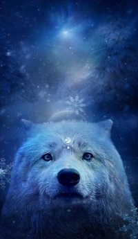 Аватар вконтакте Белый волк под падающим снегом, by silviya