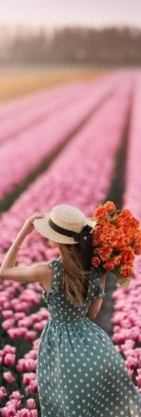 99px.ru аватар Девушка в платье в горошек, в шляпке, с букетом тюльпанов стоит на поле с розовыми тюльпанами