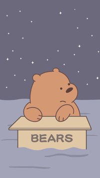 99px.ru аватар Гризли из мультсериала We bare bears / Мы обычные медведи темной ночью на природе в коробке с надписью bears / медведи