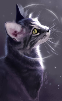 Аватар вконтакте Зеленоглазая серая кошка, by Martith