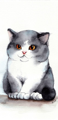 Аватар вконтакте Котенок с янтарными глазами, by Alliot-art