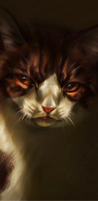 Аватар вконтакте Кот с янтарными глазами, by Pixxus